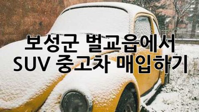 보성군 벌교읍에서 SUV 중고차 매입하기