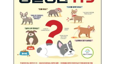 댕냥이 심리 완전 정복! 동물훈련사책 솔직 후기 & 꿀팁🐾
